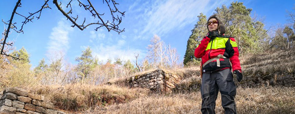 ausbilderin-obstbaumschnitt-FranziskaH