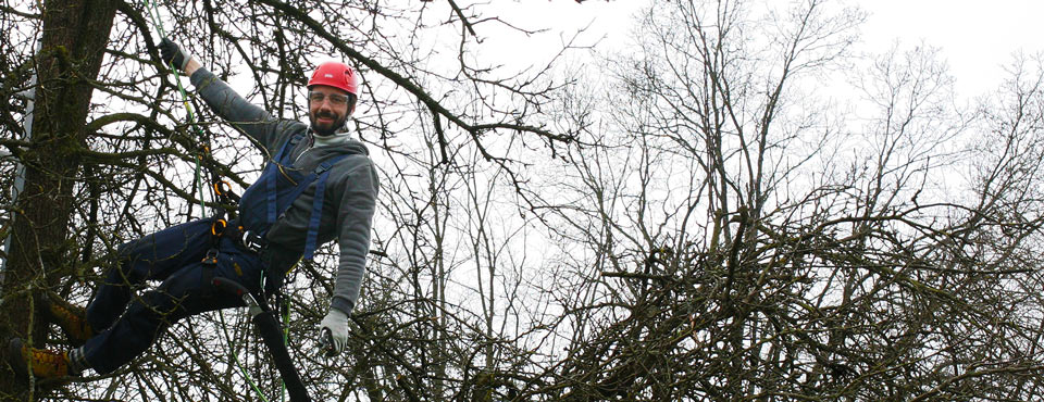 ausbildung-obstbaum-armin-f