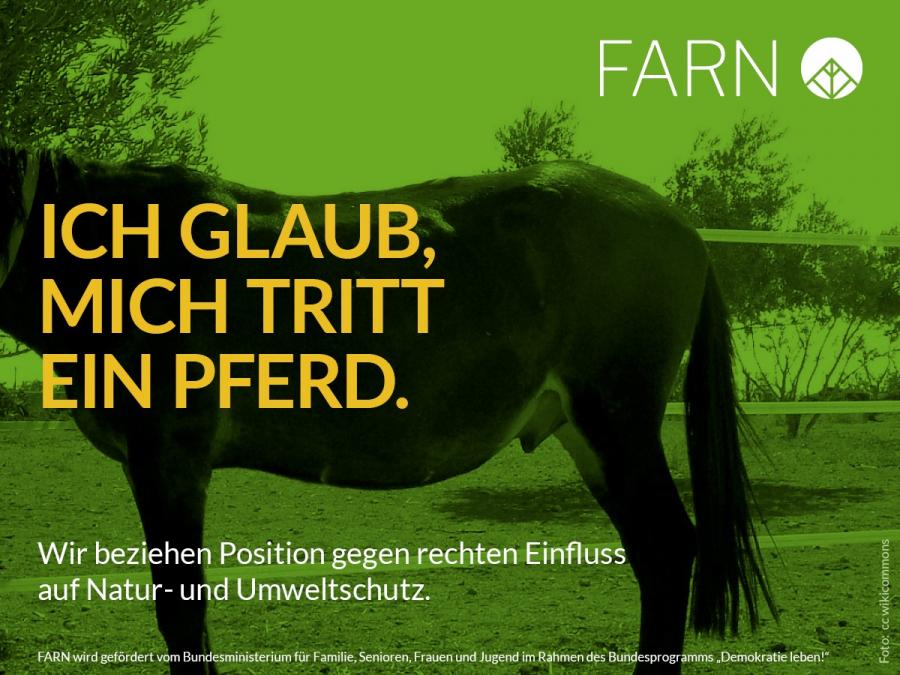 farn_pferd